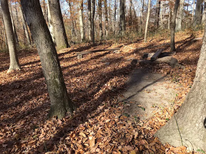 Sal Hollow Campground 1
