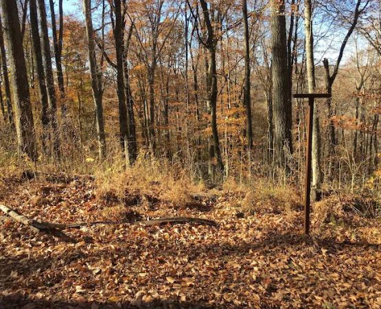 Sal Hollow Campground