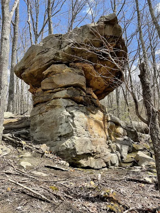 WILDCAT CABIN’S NEAR BRIMSTONE AND TWRA 4