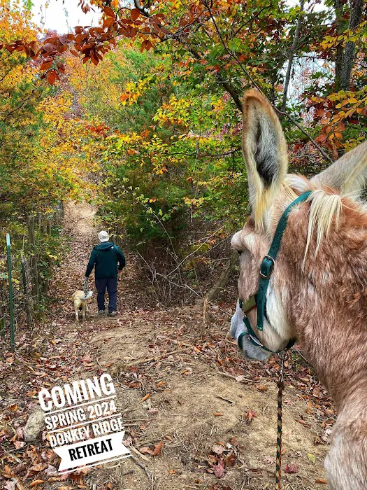 Gods Blessing Farm LLC 0