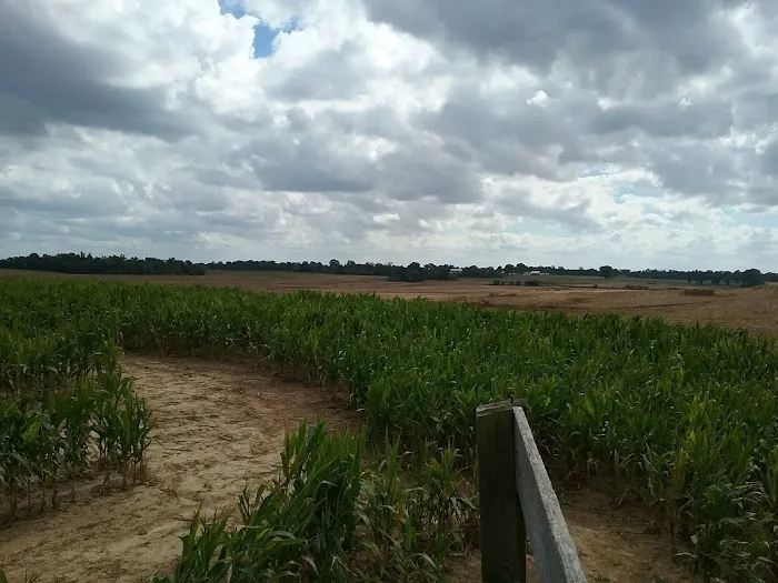Todd Family Fun Farm & Corn Maze 0