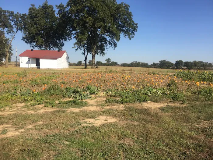Todd Family Fun Farm & Corn Maze 1