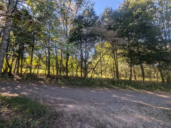 Clarksville Glamping 1