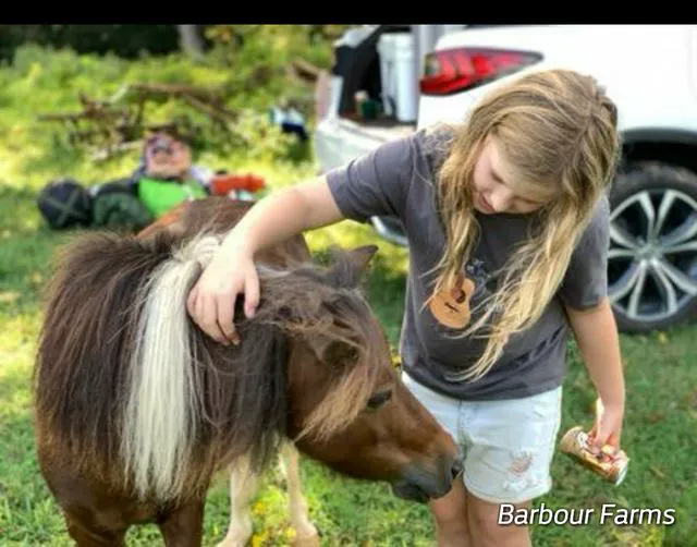 Barbour Farms 1