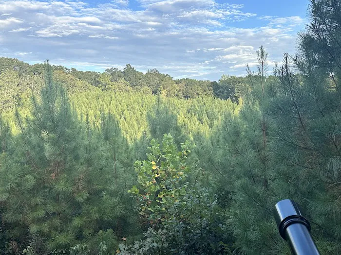 Nine Pines Retreats 9