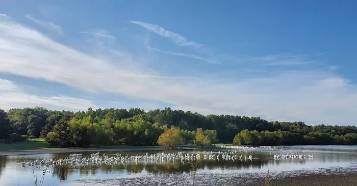 Illini Campground 7