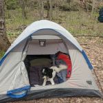 Three Springs Campground