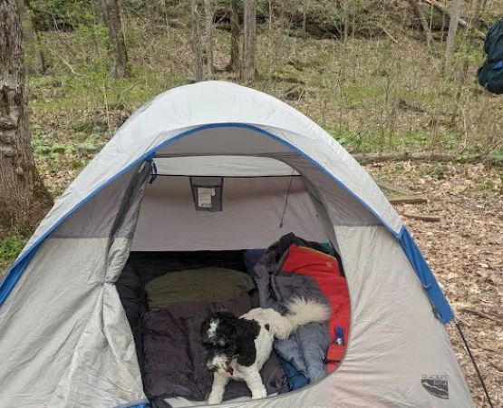 Three Springs Campground