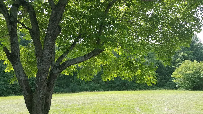 Walnut Creek Campground (Private) 4