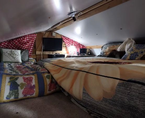 Born Again Camping and Antiques