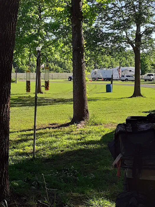 Landing Campground 6
