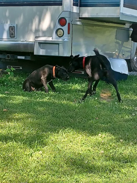 Little Bear Island Campground 5
