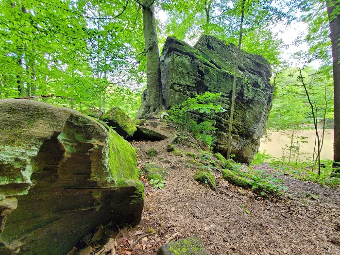 Oak Hill Campground 4