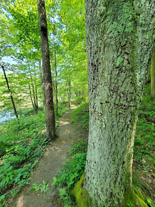 Oak Hill Campground 8