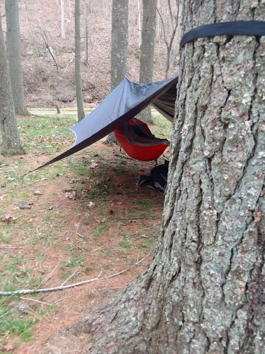 Paddle Creek Horse Camp 3