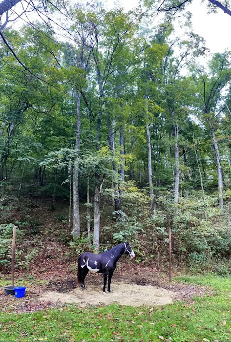 Paddle Creek Horse Camp 5