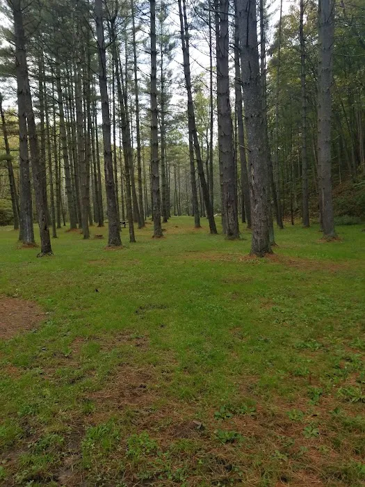 Paddle Creek Horse Camp 7