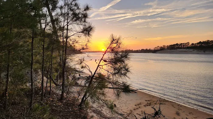 Carolina Beach State Park Campground 4