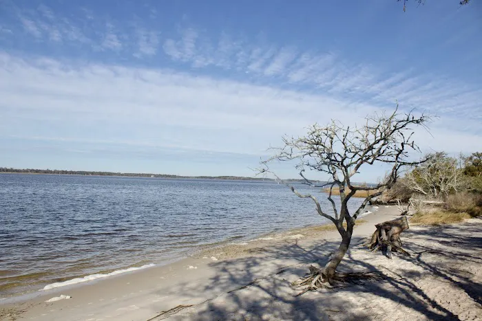 Carolina Beach State Park Campground 2