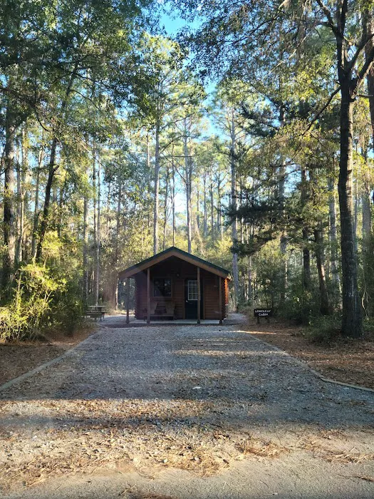 Carolina Beach State Park Campground 0