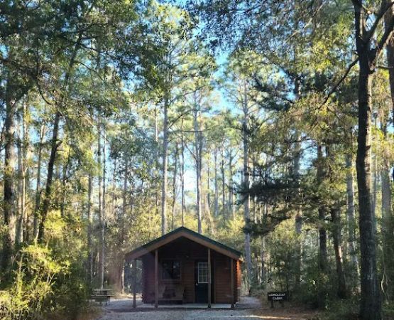 Carolina Beach State Park Campground