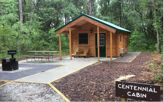 Carolina Beach State Park Campground 8