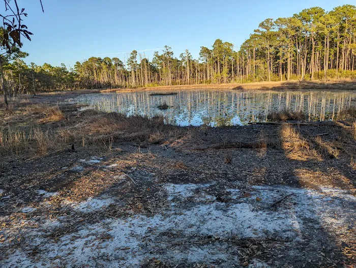 Carolina Beach State Park Campground 9