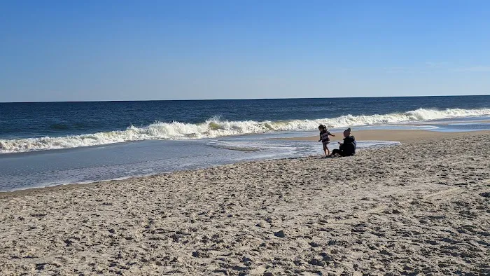 Carolina Beach State Park Campground 6
