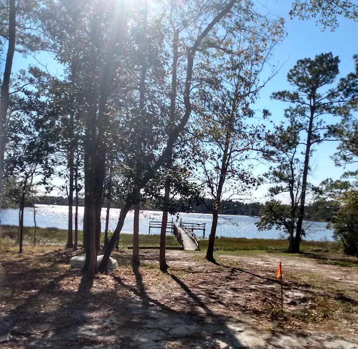 Virginia Creek Campground 6