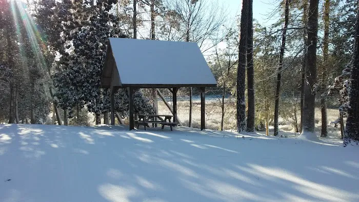 Virginia Creek Campground 8