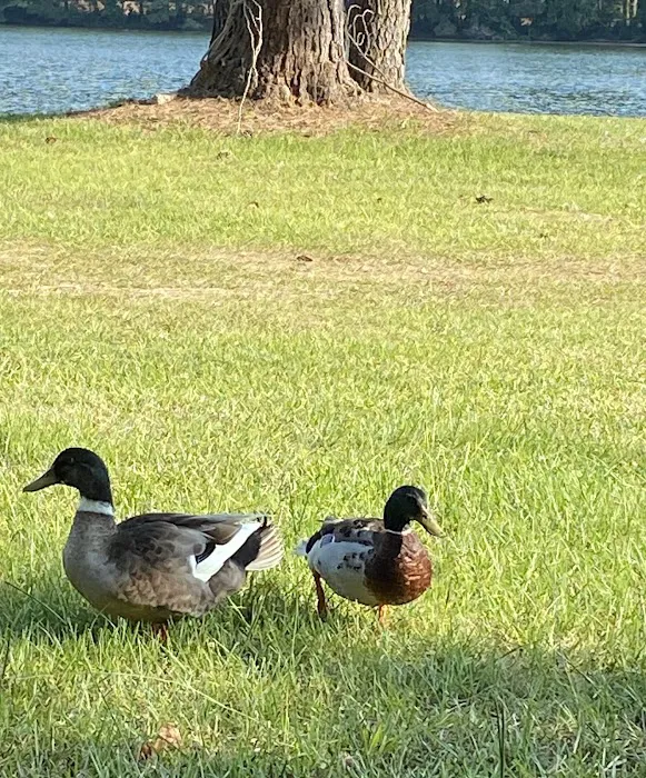 Lake Leamon 9
