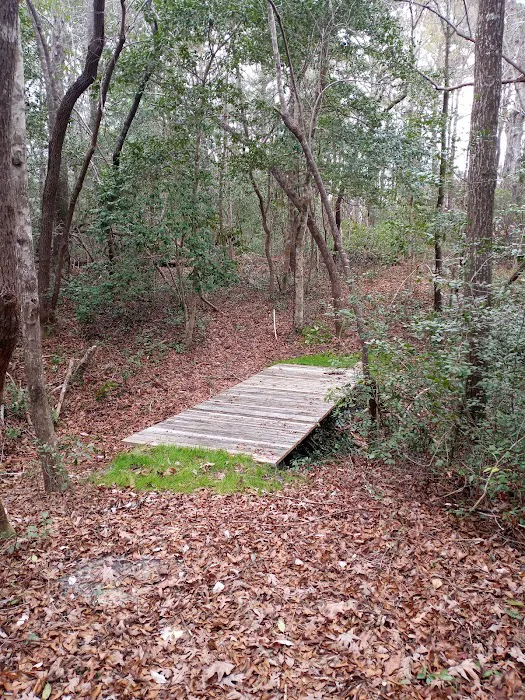 Willows Landing Campground 3