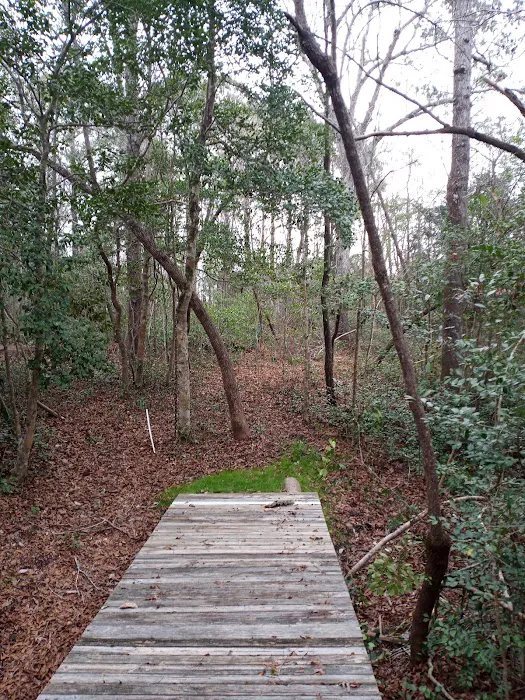 Willows Landing Campground 4