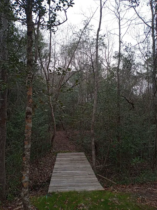 Willows Landing Campground 2
