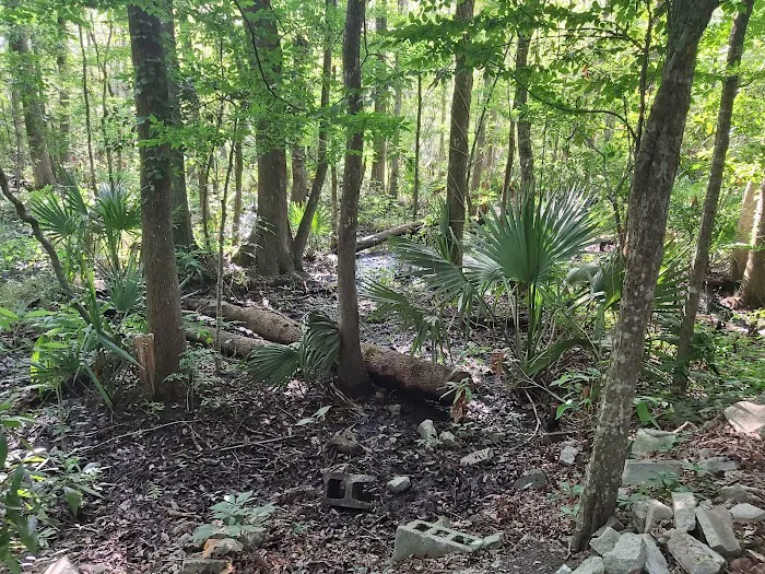 Hawkins Creek Campground 2