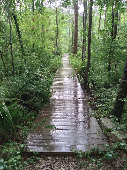 Hawkins Creek Campground 7