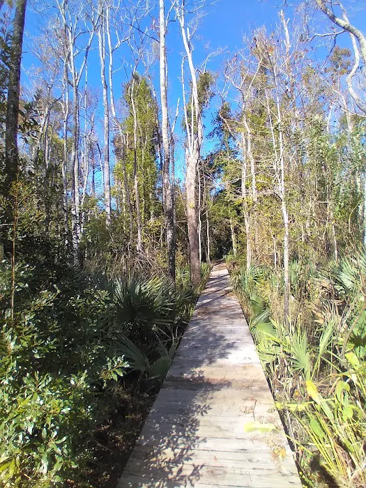 Hawkins Creek Campground 9