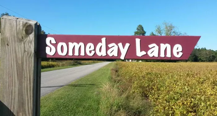 Someday Lane 2