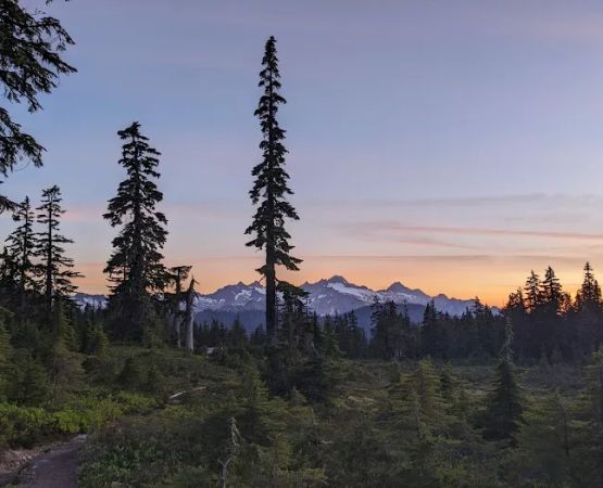 Mazama Camp Shelter