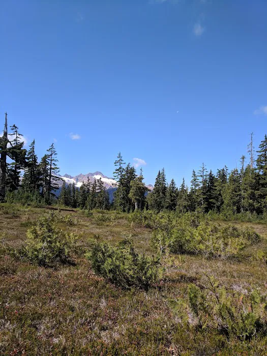 Mazama Camp Shelter 2