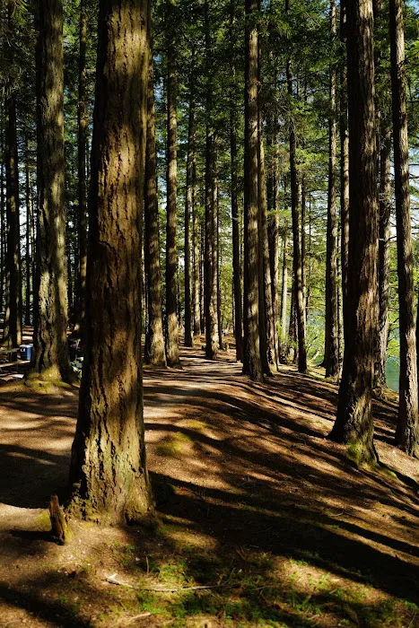 Mountain Lake Group Campground 3