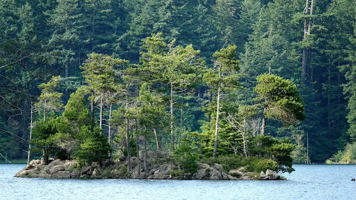 Mountain Lake Group Campground 1