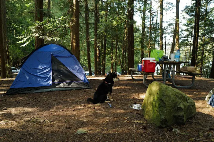 Mountain Lake Group Campground 2