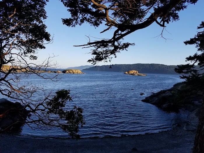 Clark Island Campground 0