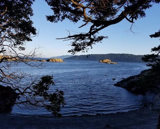 Clark Island Campground