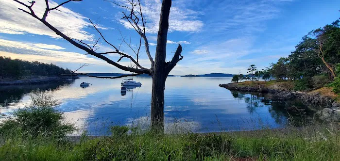Raccoon Island Campground 0
