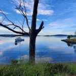 Raccoon Island Campground