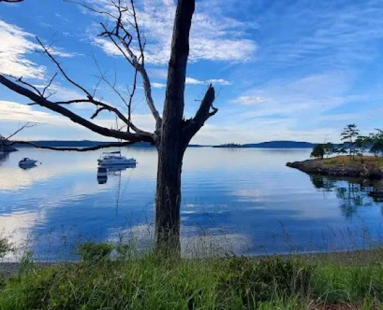 Raccoon Island Campground