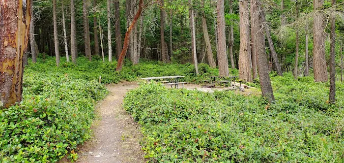 Raccoon Island Campground 6