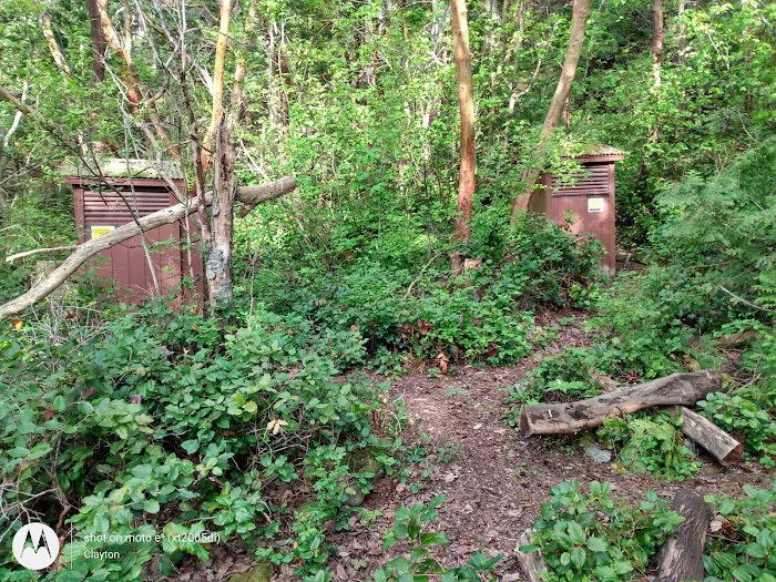 Lummi Island Campground 8